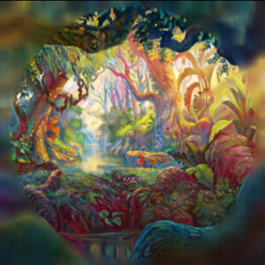 Woven Worlds - The Magic - Sapien Medicine