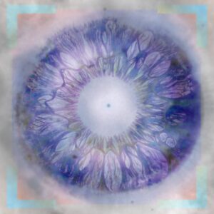 Vision Of Clarity - Sapien Medicine