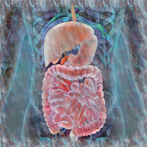 The Iron Gullet - Sapien Medicine