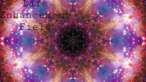 V4 Life Enhancement File - Waslerr Fields