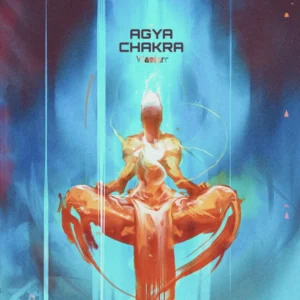 Agya Chakra - Waslerr Fields