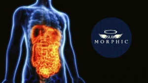 Digestive Masterwork - (Morphic Field) - SubMorphic