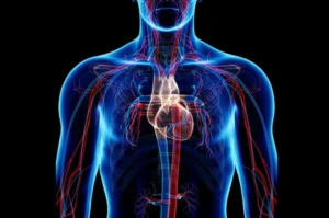 Superhuman Cardiovascular System (Morphic Field) - SubMorphic