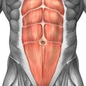 Abdominal & Belly Fat Shredder (Morphic Field) - SubMorphic