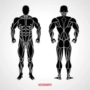 Broad Mesomorphic Golden Ratio Skeletal Frame (Morphic Field + Subliminal) - SubMorphic